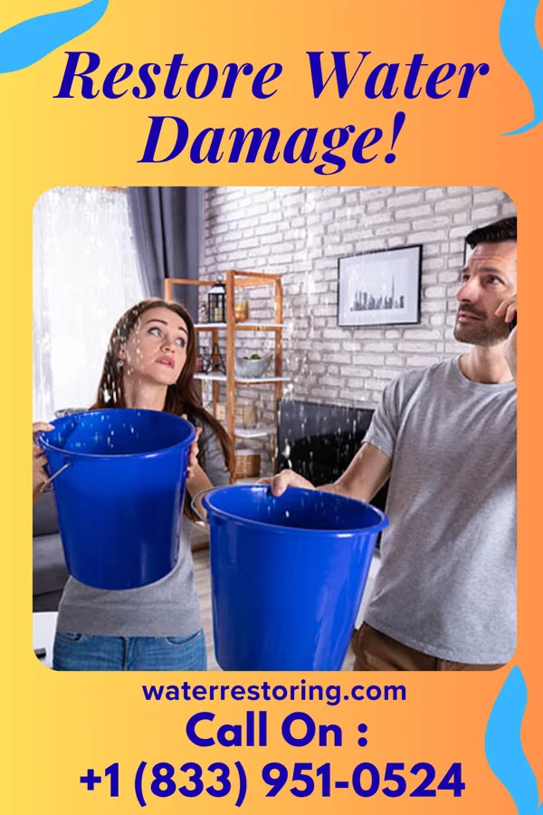 water restoration Vigilant Sewage Cleanup Brothers Watergate