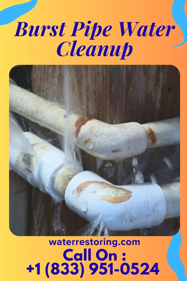 Burst Pipe Water Cleanup in Watergate, FL