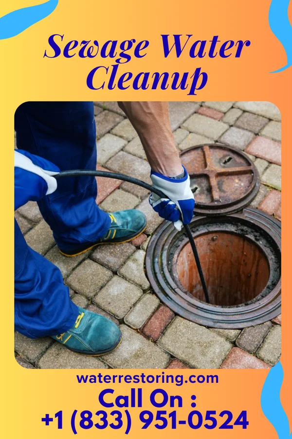 Sewage Water Cleanup in Watergate, FL